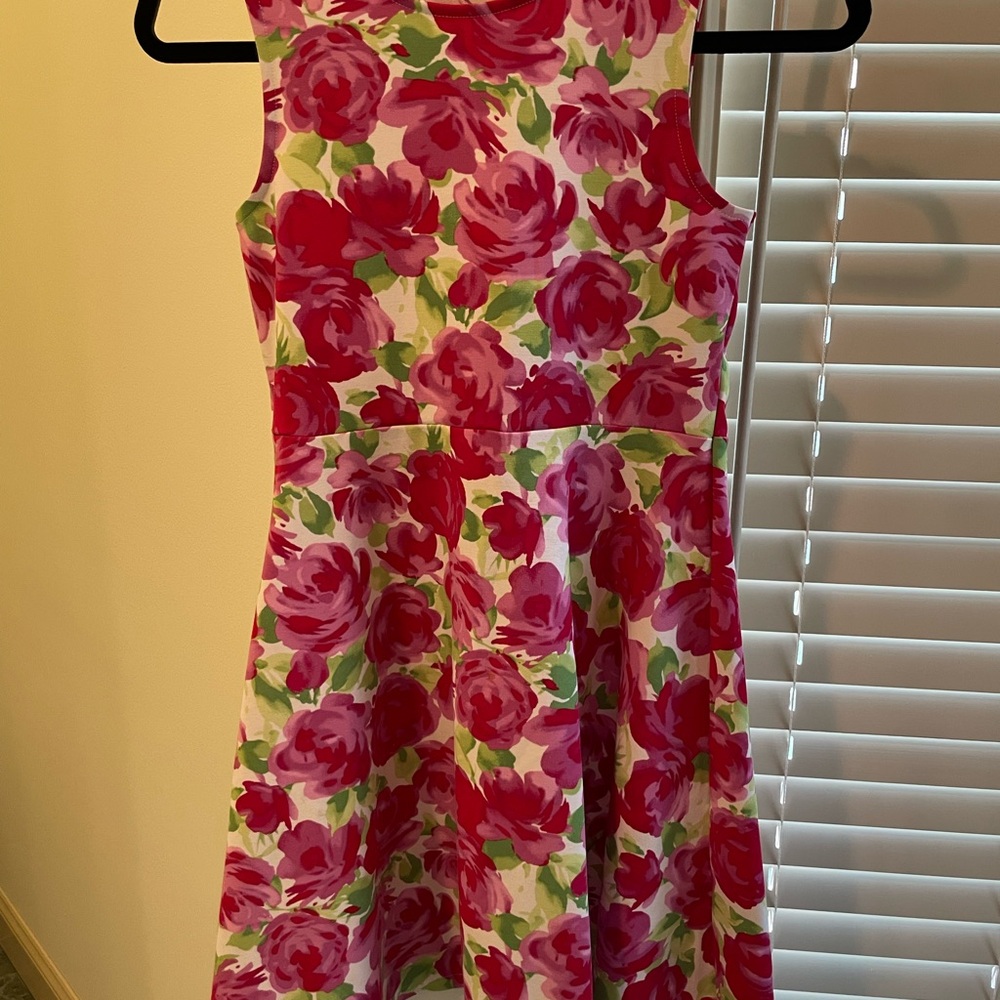 J. Crew Kids Dress - Pink, Red and Green Floral